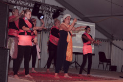 Dorpsfeest2014 248a (6480)